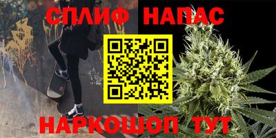 apvp Обнинск