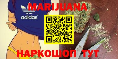 тгк Обь