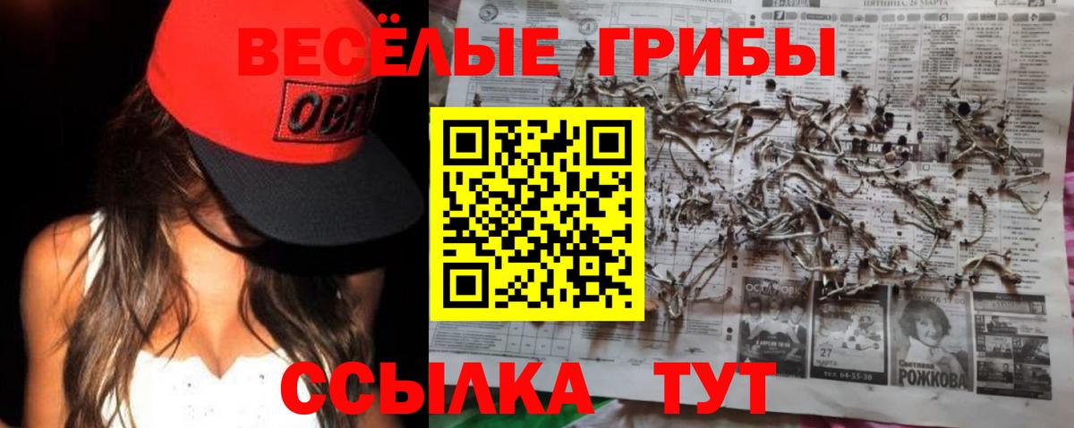 Ступино  Галлюциногенные грибы Cubensis  наркота  Вход с VPN 